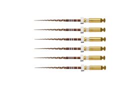 LIMA PROTAPER GOLD S2 25MM (I) DENTSPLY