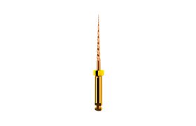 LIMA PROTAPER GOLD SX 19MM (I) DENTSPLY