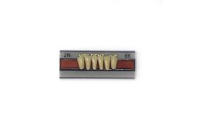 Dente Vipi Dent Plus Anterior Inferior 2N 66 - Vipi