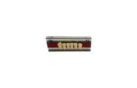 Dente Vipi Dent Plus Anterior Inferior 3N 62 - Vipi