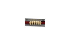 Dente Vipi Dent Plus Anterior Inferior 3P 66 - Vipi