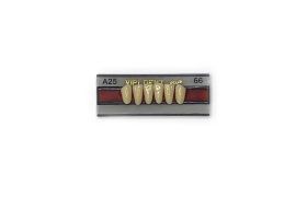 Dente Vipi Dent Plus Anterior Inferior A25 66 - Vipi