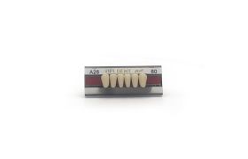 Dente Vipi Dent Plus Anterior Inferior A26 60 - Vipi