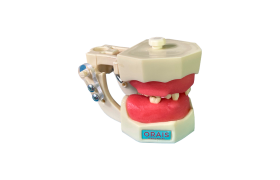 Manequim Articulado Cirurgia Menores - Orais