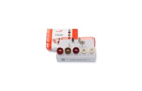 Kit Lab. Polimento de Placas e Fluxo Digital PM | American Burrs