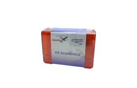 Kit Lab. Reabilitação Oral Anhanguera Betim | American Burrs