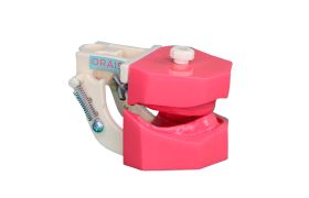 Manequim Prótese Total 700n - Orais