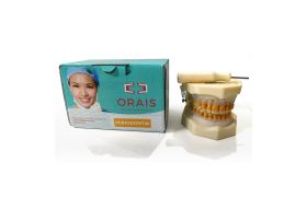 Manequim Periodontia Orais