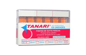 Cone Secundario B8 - Tanari