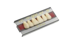 Dente Vipi Dent Plus Anterior Superior 3M 62 - Vipi