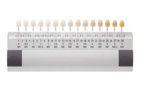 ESCALA DE COR VITA BLEACHEDGUIDE 3D MASTER - WILCOS