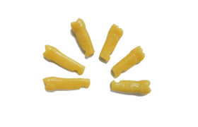 DENTE 1º MOLAR N.26 - PRODENS