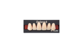 Dente Delara Anterior Superior - Kulzer