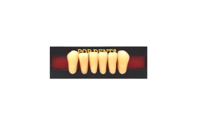 Dente Popdent Anterior Inferior - Dentbras