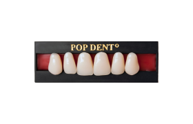Dente Popdent Anterior Superior - Dentbras