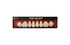 Dente Popdent Posterior Superior - Dentbras