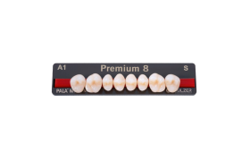 Dente Premium Posterior Inferior - Kulzer