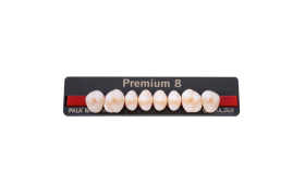 Dente Premium Posterior Superior - Kulzer