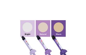 Resina Filtek Easy Match | Solventum