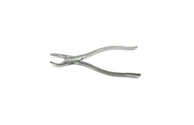 Forceps Infantil N02 - Golgran
