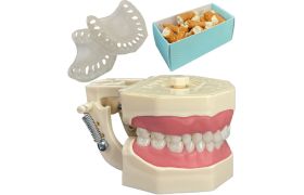 Kit Manequim Multidisciplinar Periodontia e Dentística - Orais