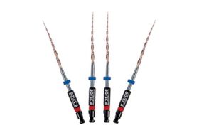 Lima Rotatória Prodesign R 25mm 25/06 - Easy