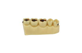 Macro Simulador de Cárie - Orais