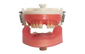 Manequim De Implantodontia Ref.PD108 - Top Prodens