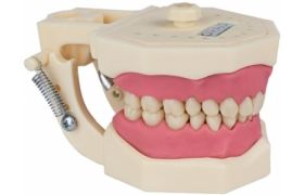 Manequim Dest&iacute;sitica Orais