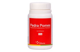 PEDRA POMES FINA 100G - VILLEVIE