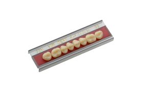 Dente Vipi Dent Plus Posterior Superior 34L 66 - Vipi