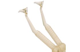 CONTACT + GOLD PARA OBTENÇÃO DO PONTO DE CONTATO - TDV