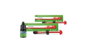 Resina Charisma Classic Kit Com 2 seringas (A1, A2) + Gluma Desensitizer - Kulzer