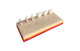 Sequência de Camadas R2 (cod.903) - Orais