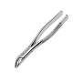 FORCEPS 101 GOLGRAN