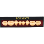 Dente Popdent Posterior Inferior 34L 66 - Dentbras