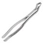Forceps 53L Golgran - Millenium - Golgran
