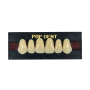 Dente Popdent Posterior Superior 34L 66 - Dentbras