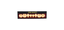 Dente Popdent Posterior Inferior 34L 66 - Dentbras