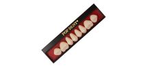 Dente Popdent Anterior Superior 266 67 - Dentbras