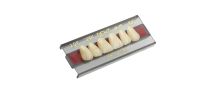 Dente Vipi Dent Plus Anterior Superior A26 66 - Vipi