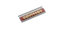 Dente Vipi Dent Plus Posterior Superior 34L 66 - Vipi